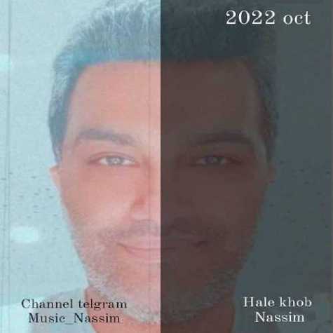 Nassim Hale Khob